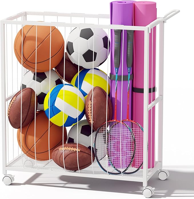 Ball Storage