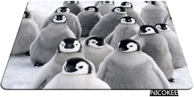 Penguin Rectangle Gaming Mousepad Lovely Funny Penguins South Pole Mouse Pad Mouse Mat for Computer Desk Laptop Office 9.5 X 7.9 Inch Non-Slip Rubber