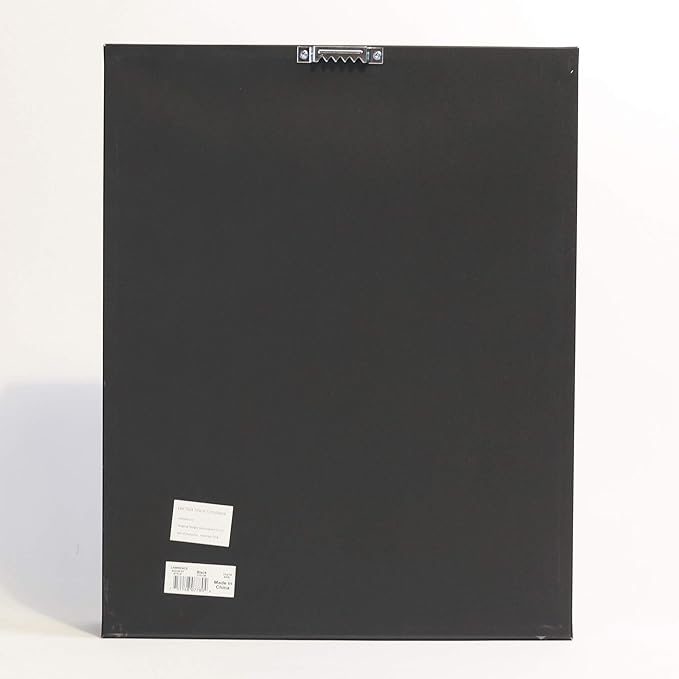 Lawrence Frames 531011 11x14 Golf Display Case-Holds 25 Logo Balls Shadow Box Frame, Black