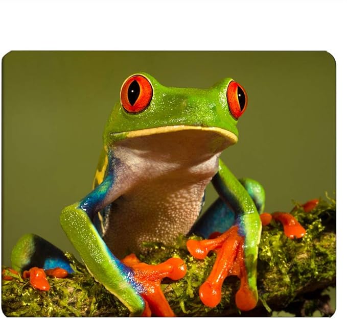 Frog Gaming Mousepad Cute Tree Frog Green Wild Animal Mouse Pad Mouse Mat for Computer Desk Laptop Office 9.5 X 7.9 Inch Non-Slip Rubber