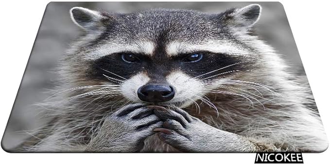 Raccoon Rectangle Gaming Mousepad Lovely Raccoon Whild Animal Mouse Pad Mouse Mat for Computer Desk Laptop Office 9.5 X 7.9 Inch Non-Slip Rubber