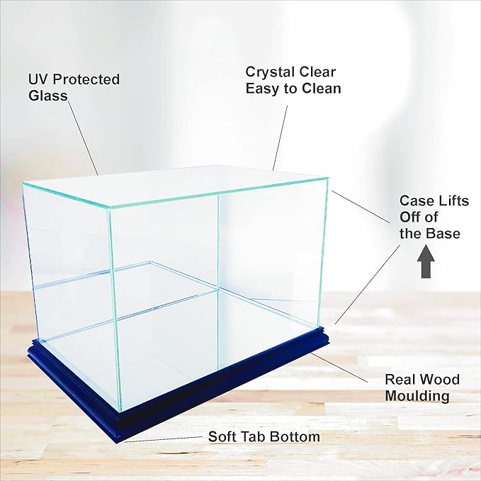 Golf Ball Display Case (Black w/ Engraving)