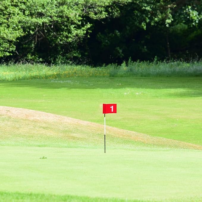 4Pcs 4Pcs Numbered Training Flags Durable Putting Course Flags for Practice Portable Lightweight Golf Markers for Backyard and Outdoor Use