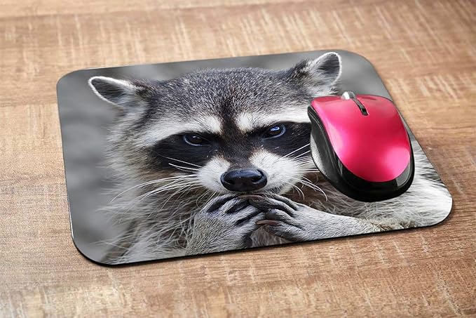 Raccoon Rectangle Gaming Mousepad Lovely Raccoon Whild Animal Mouse Pad Mouse Mat for Computer Desk Laptop Office 9.5 X 7.9 Inch Non-Slip Rubber