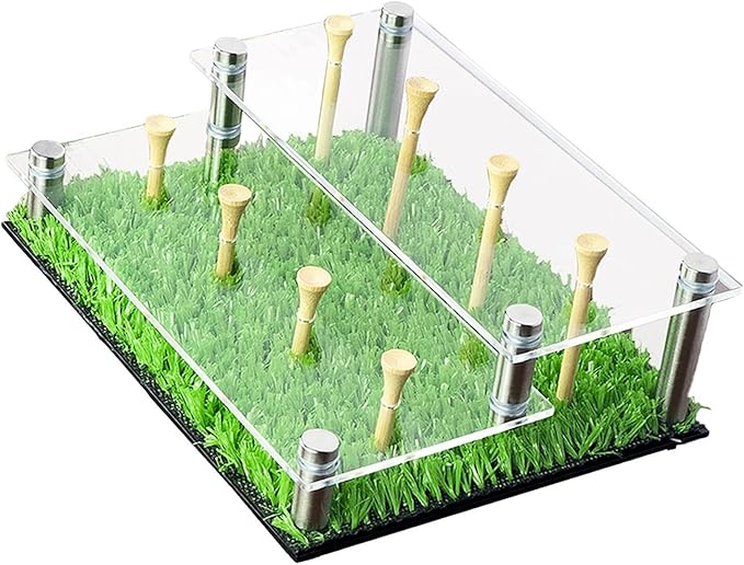Golf Ball Display Case,Sport Balls Rack Holds 8 Golf Balls 2 Tier Acrylic Stand Holder with Tees for Tennis Softball Showing