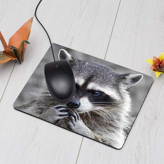 Raccoon Rectangle Gaming Mousepad Lovely Raccoon Whild Animal Mouse Pad Mouse Mat for Computer Desk Laptop Office 9.5 X 7.9 Inch Non-Slip Rubber