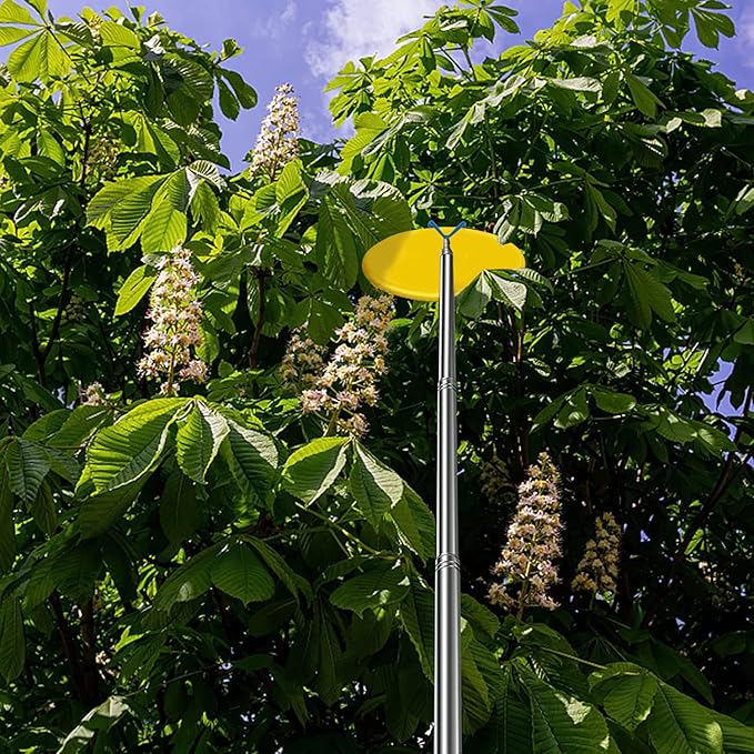 Disc Golf Retriever Pole with 3 Hooks Telescopic Disc Golf Tool Golf Discs Retriever for Water Disc Golf Accessories for Outdoor Sports 10FT