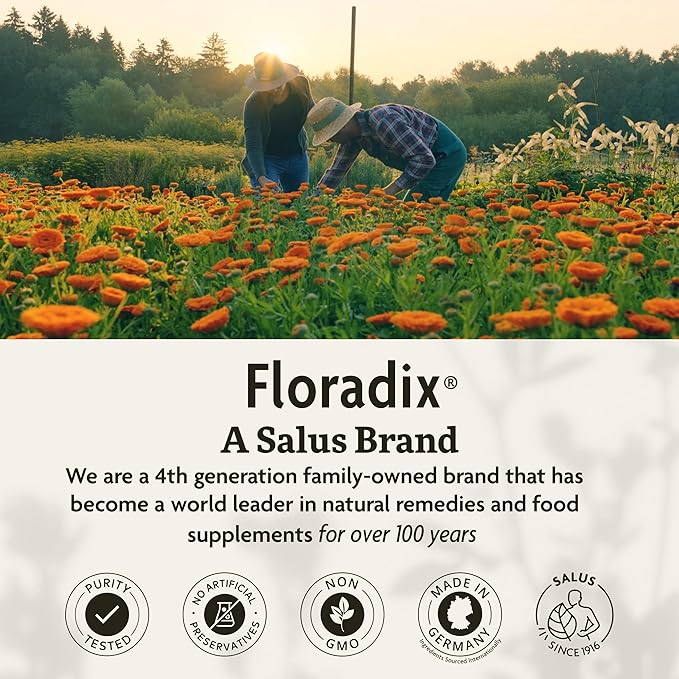 Floradix Iron Tablets - Iron Supplement with B Vitamins, Folic Acid, Vitamin C & More - Energy Support - Vegetarian & Gluten-Free - 80 Tablets (80 Servings)