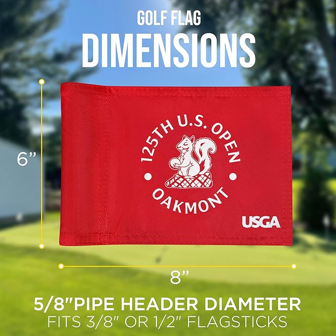 2025 Themed Mini Golf Flag, 8x6 Inch, Double-Sided Silk-Printed, Durable 420D Nylon, Ideal for Backyard Practice Putting Green